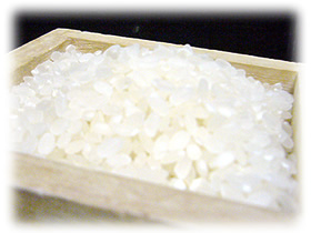 酒米と食用米の違い