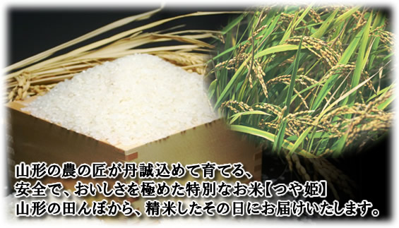 食べて美味しいのが、体が求める米。農家のこだわり「秘蔵」のコシヒカリ、山形の田んぼから精米したその日に直送いたします